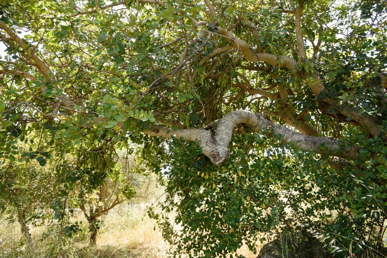 Villa Karrua House Modica Esterno foto